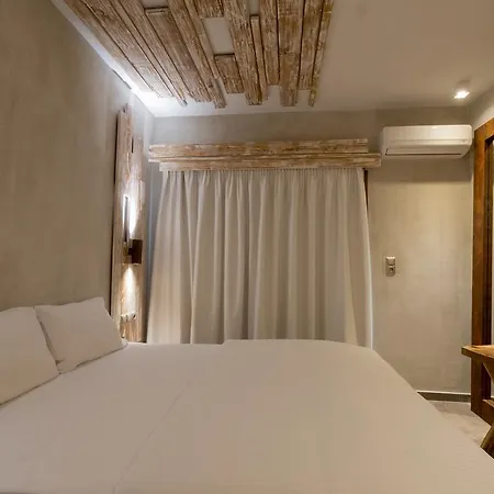 Olea House *