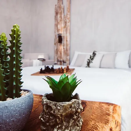 Olea House