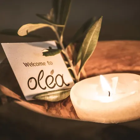 Olea House Lejlighed Limenaria (Thasos)