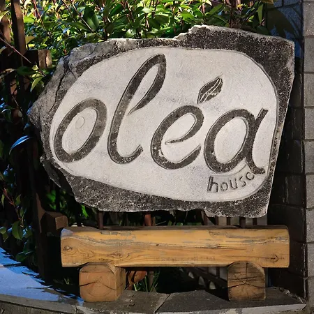 Olea House Apartment