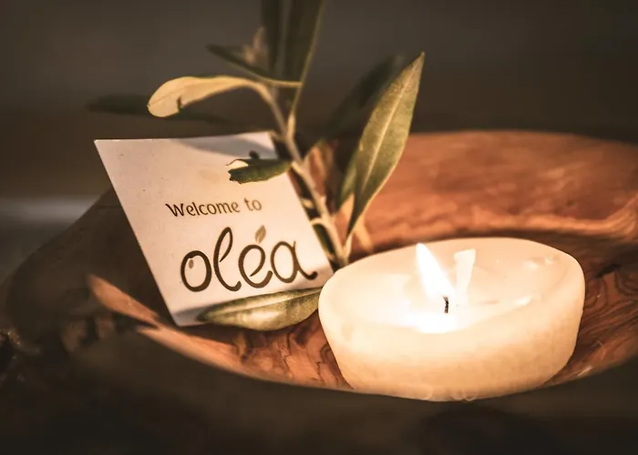 Olea House 아파트 리메나리아